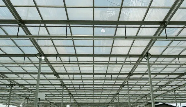 企业管理系统集成：技术开发中的两种做法比较